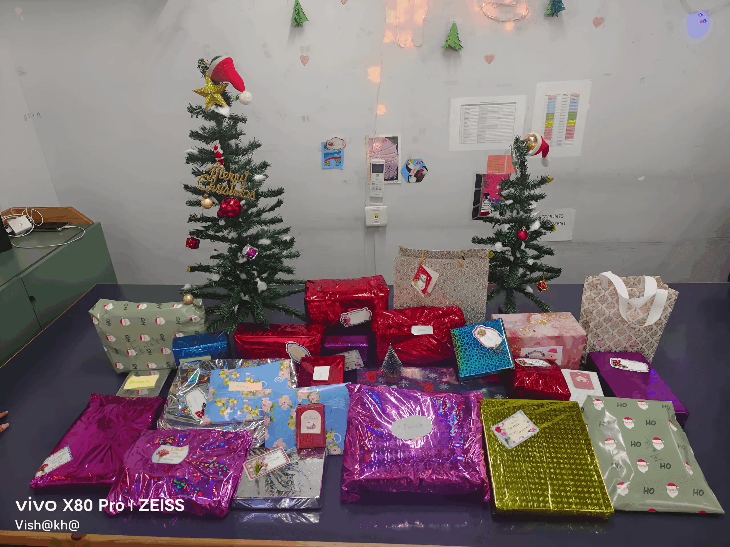 Christmas festive-TMS